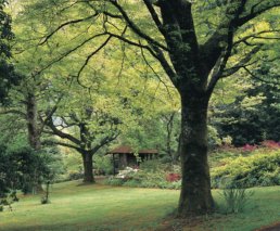 Mt Macedon